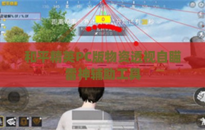 和平精英PC版物资透视自瞄雷神辅助工具